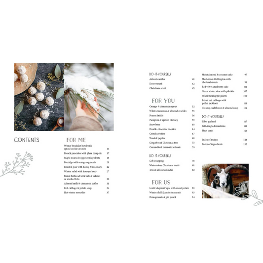 Advent By Laura Fleiter and Kerstin Nieh