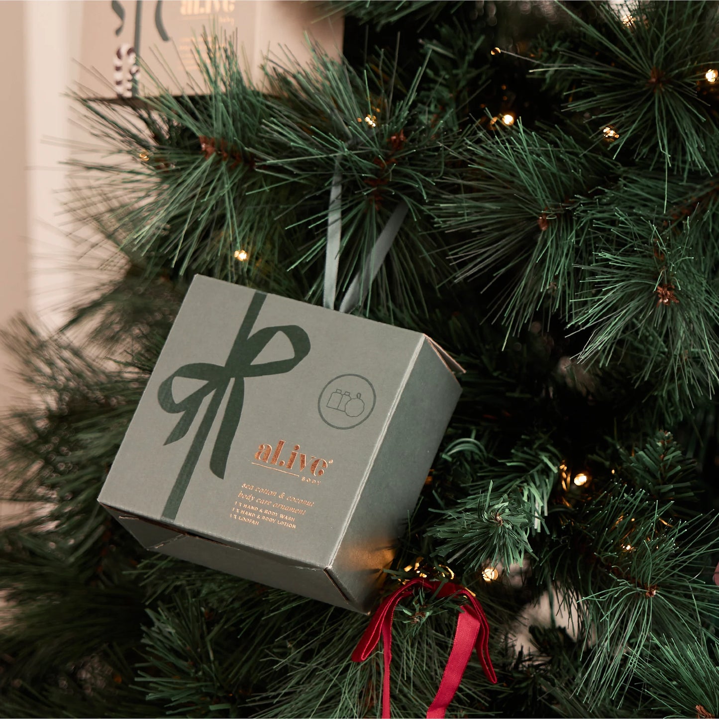 Body Care Ornament Sea Cotton & Coconut